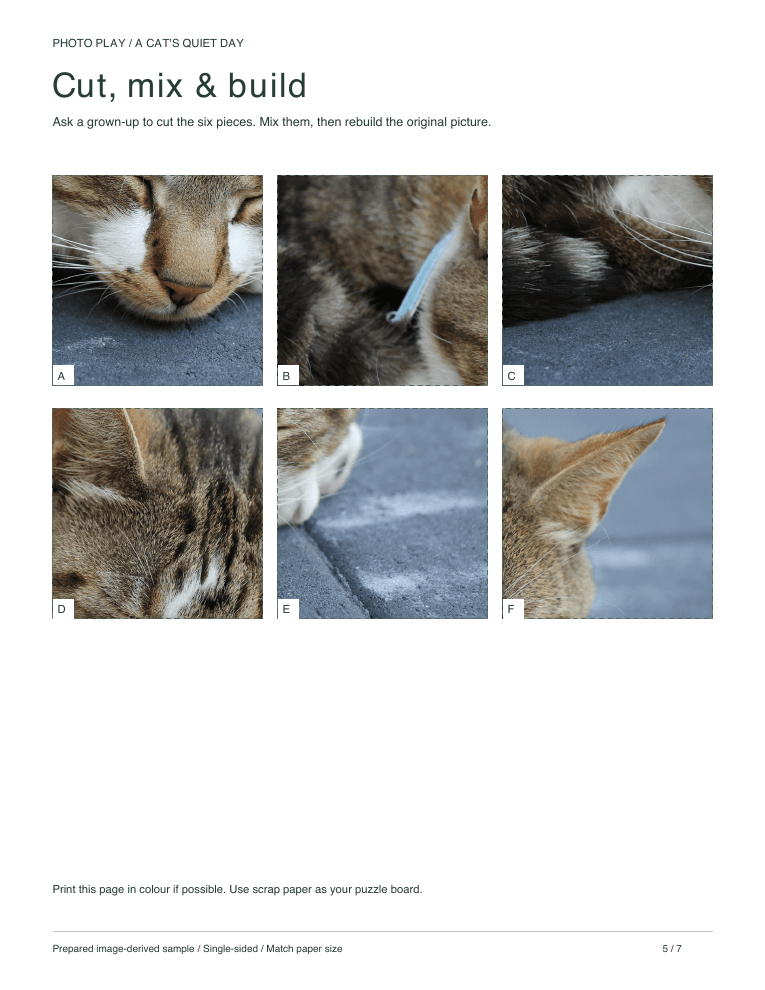Cat cut-and-build picture puzzle sheet