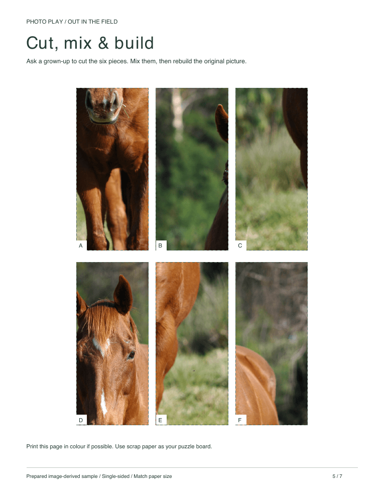 Horse cut-and-build picture puzzle sheet