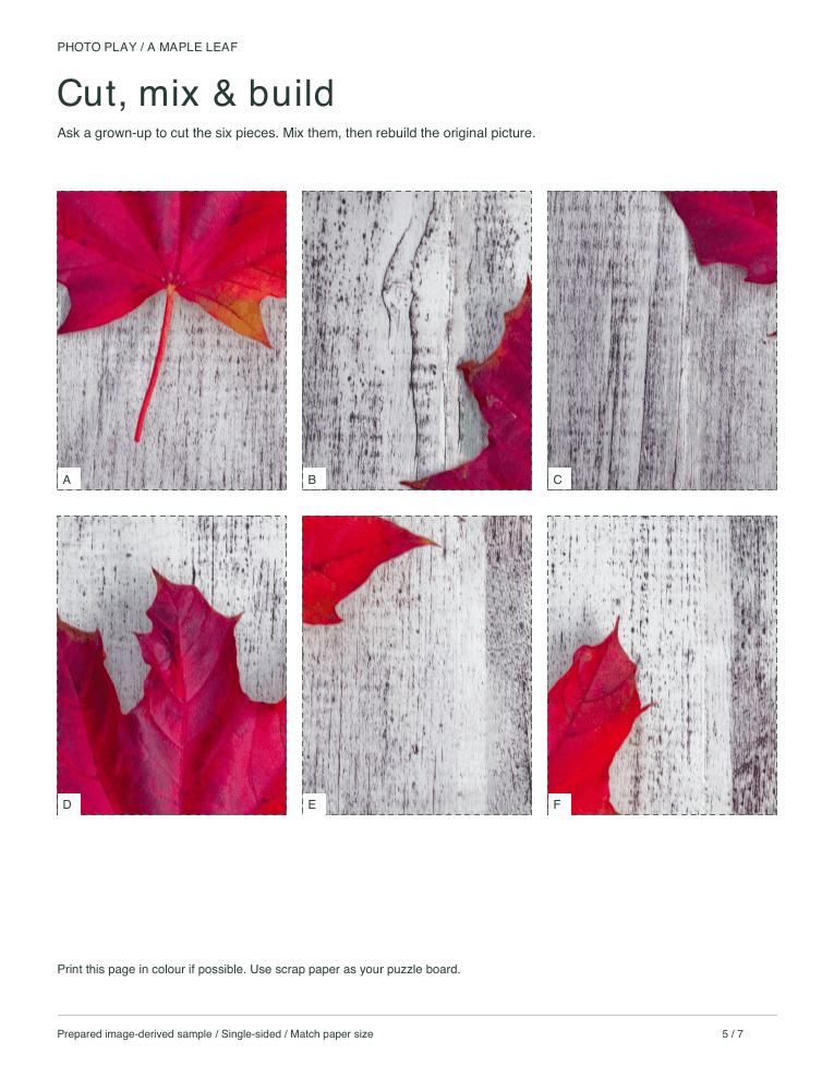 Maple leaf cut-and-build picture puzzle sheet