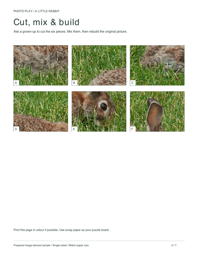 Rabbit cut-and-build picture puzzle sheet